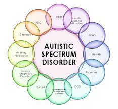 austism test