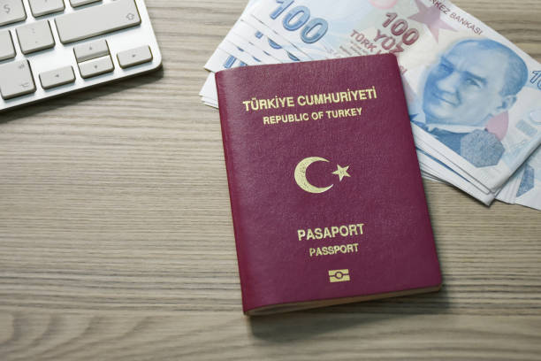 UK to Turkey visa consultant